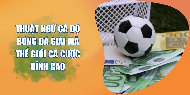 thuật ngữ cá độ bóng đá
